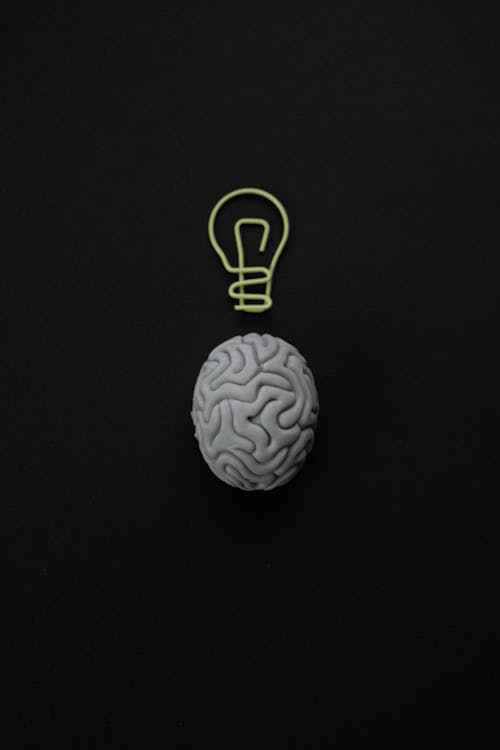 Il cervello e i meccanismi dei bias cognitivi